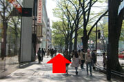街路樹に沿って約200m直進します。