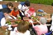 園芸活動